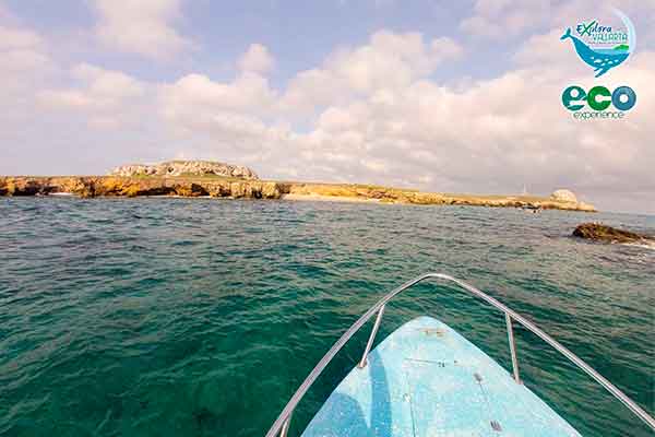 Tour Islas Marietas costo