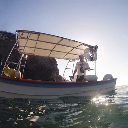 Capitan en Parque Nacional Marietas